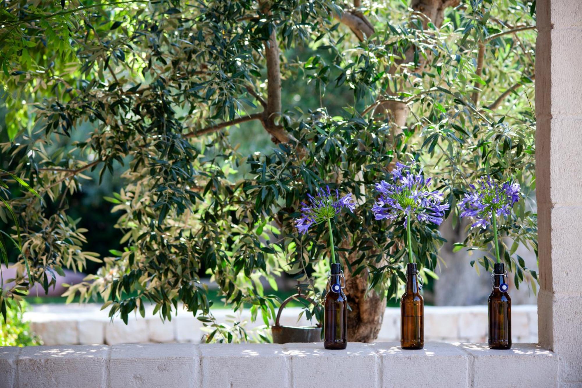 Casa Mia In Puglia Guest House Conversano Exterior photo